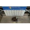 MONTANTE SOSP. ANT. SX. 107 MITSUBISHI SPACE RUNNER (09/99-12/01) 4G63 MR297063