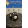 MOTORINO AVVIAMENTO 077 RENAULT SCENIC (03/99-05/03) F4PB7 8200049826