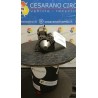 MOTORINO AVVIAMENTO 084 RENAULT CLIO 3A SERIE (07/05-05/09) K4JG7 8200584837