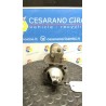 MOTORINO AVVIAMENTO MARELLI 070 FIAT PANDA 1A SERIE (03/92-03/04) 156A4000 7612952