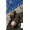 MOTORINO AVVIAMENTO MARELLI 070 FIAT PANDA 1A SERIE (03/92-03/04) 156A4000 7612952
