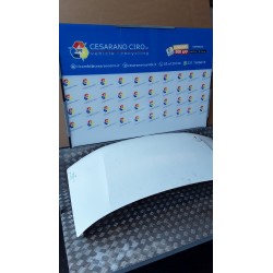 COFANO ANT. 050 RENAULT MASTER 2 SERIE S8UW7 NB0556000062003391999999