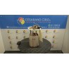 POMPA CARBURANTE C/TRASDUTTORE (GALLEGGIANTE) 158 RENAULT MEGANE 3A SERIE (10/08-) F9QN8 172020054R