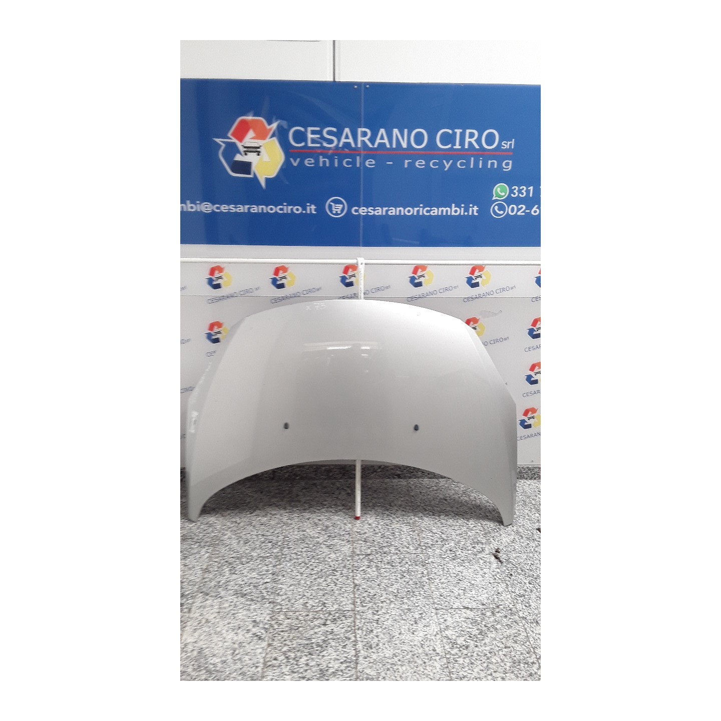 COFANO ANT. 002 PEUGEOT 307 (07/05-07/08) 9HZ 7901L9