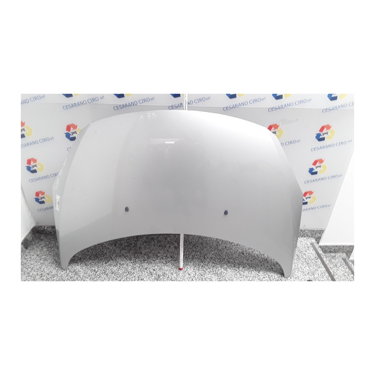 COFANO ANT. 002 PEUGEOT 307 (07/05-07/08) 9HZ 7901L9