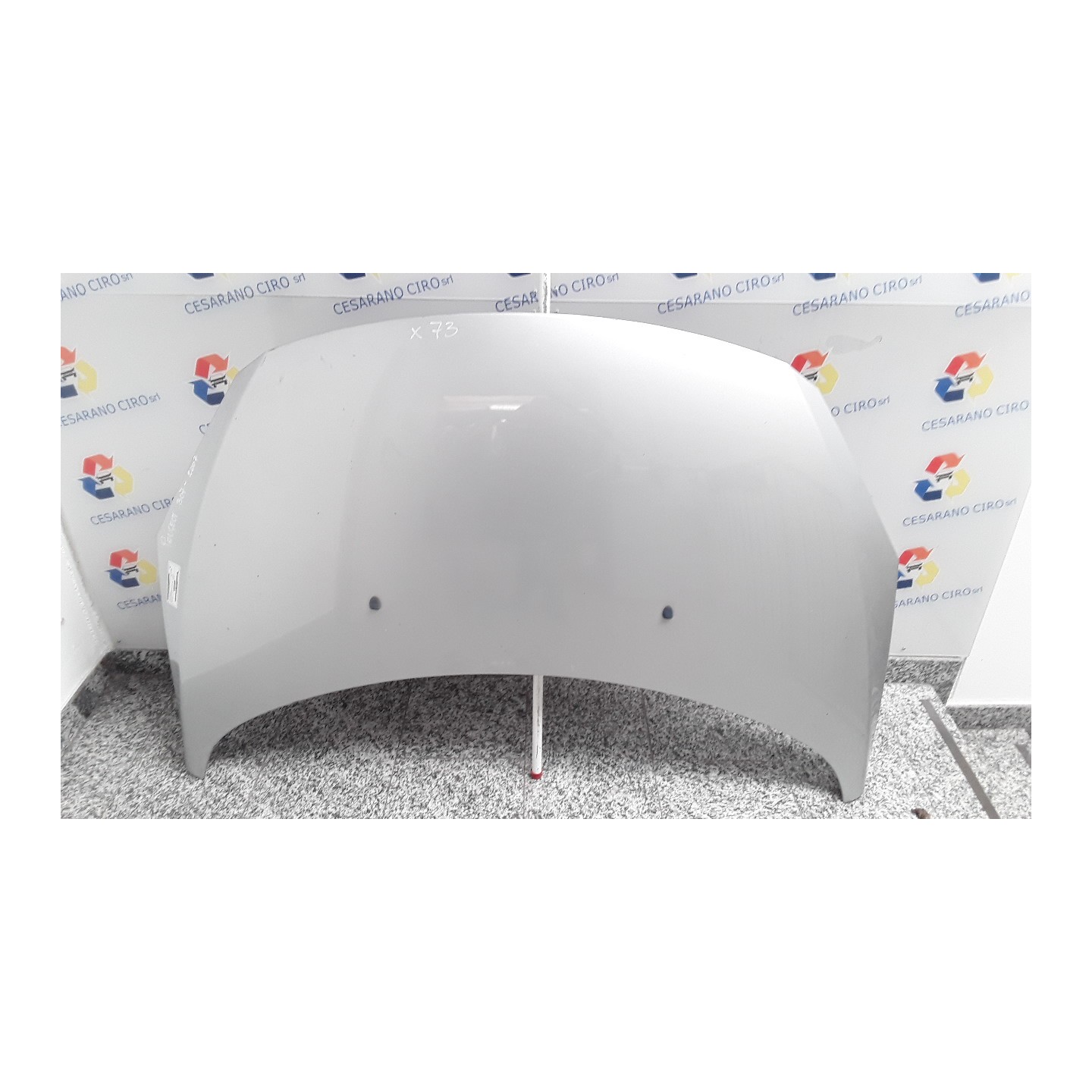 COFANO ANT. 002 PEUGEOT 307 (07/05-07/08) 9HZ 7901L9