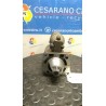 MOTORINO AVVIAMENTO MARELLI 069 FIAT PANDA 1A SERIE (03/92-03/04) 156A4000 7612952