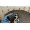 INIETTORE DIESEL 038 OPEL ZAFIRA (A05) (06/05-) Z19DT 93178684