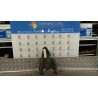 BRACCIO OSCILLANTE SOSP. ANT. DX. 035 DACIA LOGAN (11/05-10/08) K4MA6 6001549182