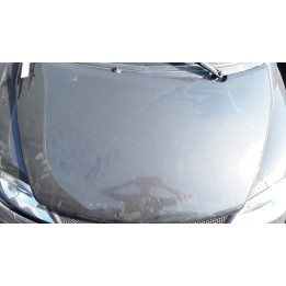 COFANO ANT. 029 LIGIER JS50 (04/13-02/17) LDW502M3 1404190