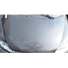 COFANO ANT. 029 LIGIER JS50 (04/13-02/17) LDW502M3 1404190