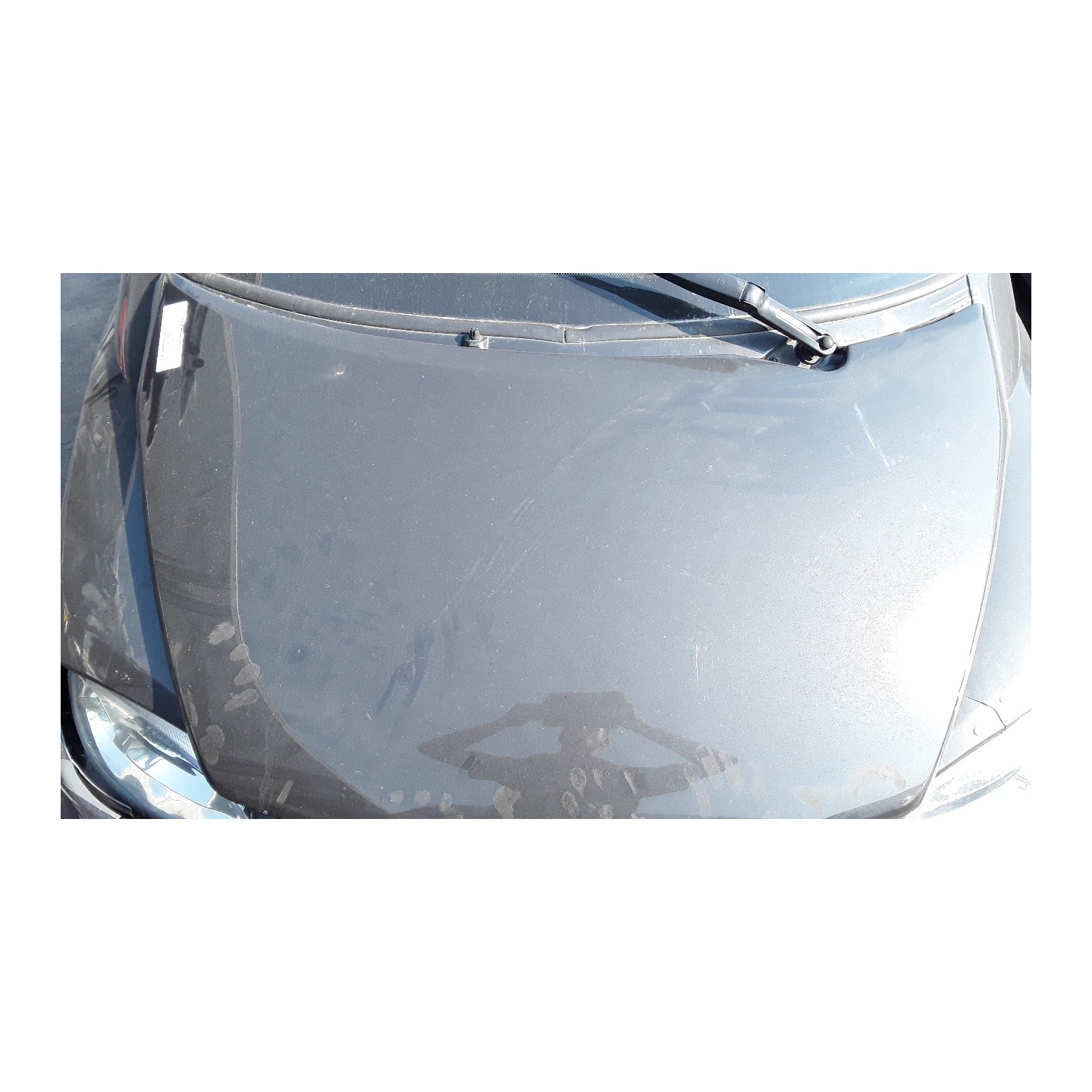 COFANO ANT. 029 LIGIER JS50 (04/13-02/17) LDW502M3 1404190