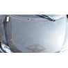 COFANO ANT. 029 LIGIER JS50 (04/13-02/17) LDW502M3 1404190