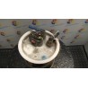 POMPA CARBURANTE C/TRASDUTTORE (GALLEGGIANTE) 013 VOLKSWAGEN POLO (6R) (05/09-10/14) CMA 6R0919051M