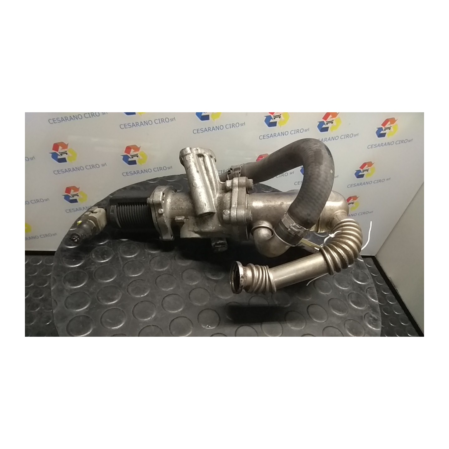 ELETTROVALVOLA EGR 066 FIAT GRANDE PUNTO (2Y) (06/05-05/08 199A2000 55219498