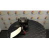 POMPA SERVOSTERZO 183 DODGE JOURNEY BWD NB4136000267003850078200