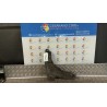 BRACCIO OSCILLANTE ANT. SOSP. ANT. DX 017 RENAULT LAGUNA 2A SERIE (03/05-09/07) K4M57 NB5491019059005DX