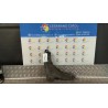 BRACCIO OSCILLANTE ANT. SOSP. ANT. DX 017 RENAULT LAGUNA 2A SERIE (03/05-09/07) K4M57 NB5491019059005DX