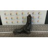 BRACCIO OSCILLANTE ANT. SOSP. ANT. DX 017 RENAULT LAGUNA 2A SERIE (03/05-09/07) K4M57 NB5491019059005DX