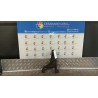 BRACCIO OSCILLANTE ANT. SOSP. ANT. SX 024 RENAULT KANGOO (04/03-03/09) K9KA7 NB5491019045009SX
