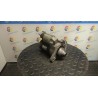 MOTORINO AVVIAMENTO 206 RENAULT SCENIC 2A SERIE (06/03-08/09) K4M97 8200665518