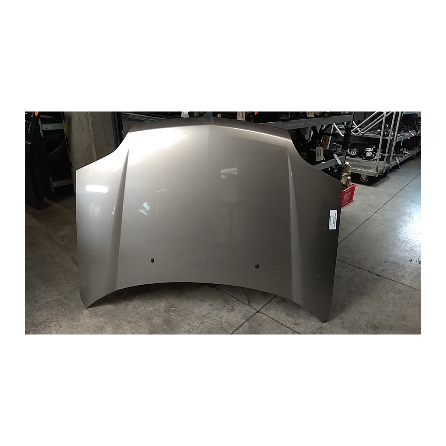 COFANO ANT. 032 NISSAN X-TRAIL (T30) (10/03-08/07) YD22 F5100EQ0MM