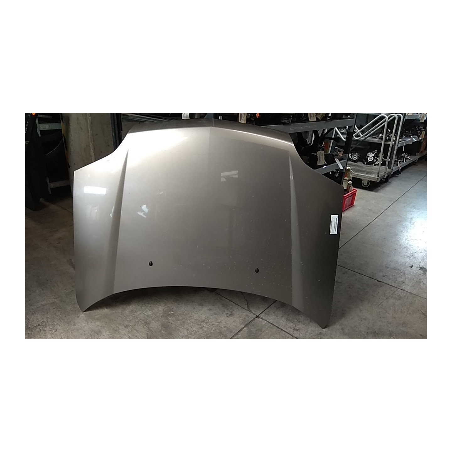 COFANO ANT. 032 NISSAN X-TRAIL (T30) (10/03-08/07) YD22 F5100EQ0MM