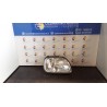 PROIETTORE DX. 203 NISSAN MICRA (K11E) (02/98-09/00) CG10 B60106F620