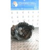 CAMBIO COMPL. 031 RENAULT ESPACE 3A SERIE (11/02-04/06) G9TJ7 7701478256