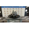POMPA INIEZIONE 036 IVECO DAILY CABINATO (04/06-12/09) F1CE0481H 504095664