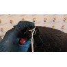 INIETTORE 037 IVECO DAILY CABINATO (04/06-12/09) F1CE0481H 504088823