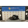 AGGREGATO ABS 241 FIAT PANDA (4Q) (05/16-) 169A4000 6000630279