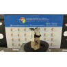 POMPA CARBURANTE C/TRASDUTTORE (GALLEGGIANTE) 282 SEAT IBIZA (6L) (12/01-08/09) BKY 6Q0919051F