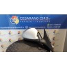RETROVISORE EST. REGOLAZ. ELETTR. DX. 009 ALFA ROMEO 159 (X3/X9) (07/05-06/13) 939A2000 156080859