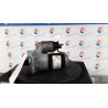 MOTORINO AVVIAMENTO 031 RENAULT MEGANE 2A SERIE (09/02-02/06) K9KP7 8200584685