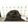 MONTANTE SOSP. ANT. DX. 027 FIAT PANDA 1A SERIE (03/92-03/04) 187A1000 5995503
