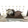 TURBOCOMPRESSORE 056 OPEL ASTRA (A04) (01/04-03/11) Z17DTR 97376273