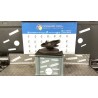 MONTANTE SOSP. ANT. DX. 074 FIAT PANDA 1A SERIE (03/92-03/04) 187A1000 5995503