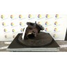 TURBOCOMPRESSORE 009 FIAT SEDICI (74) (11/11-) D20AA 55225012
