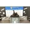 MONTANTE SOSP. ANT. DX. 087 CITROEN C5 (03/01-09/04) XFX 364764