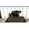 MONTANTE SOSP. ANT. SX. 074 KIA CERATO (10/04-02/08) D4FA 517152F310