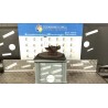 MONTANTE SOSP. ANT. C/ABS E CUSCINETTO SX. 099 MAZDA MAZDA 2 1A SERIE (02/03-08/07 F6JA DD323303X
