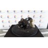 POMPA INIEZIONE 032 OPEL VIVARO (X83) (09/06-) G9UB6 93198063