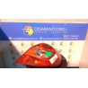 FANALE POST. DX. 349 RENAULT CLIO 3A SERIE (07/05-05/09) K9KT7 8200459960