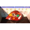 FANALE POST. DX. 349 RENAULT CLIO 3A SERIE (07/05-05/09) K9KT7 8200459960