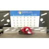 FANALE POST. DX. 177 RENAULT CLIO 3A SERIE (07/05-05/09) K4JG7 8200459960