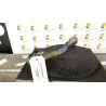 BRACCIO OSCILLANTE ANT. SOSP. ANT. SX. 072 BMW SERIE 5 (E60/E61) (03/07-12/10 N53B30A 31102348047