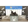 MONTANTE SOSP. ANT. C/MOZZO E CUSCINETTO SX. 034 CITROEN XSARA PICASSO (12/99-01/10) NFV 364654