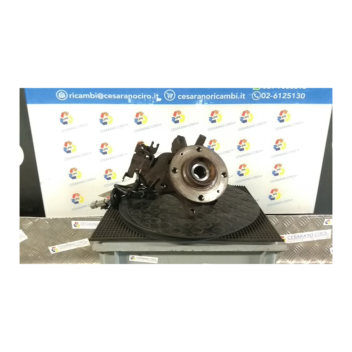 MONTANTE SOSP. ANT. C/MOZZO E CUSCINETTO SX. 034 CITROEN XSARA PICASSO (12/99-01/10) NFV 364654