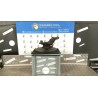 MONTANTE SOSP. ANT. SX. 007 DACIA DUSTER (03/10-) K4MH6 400150774R